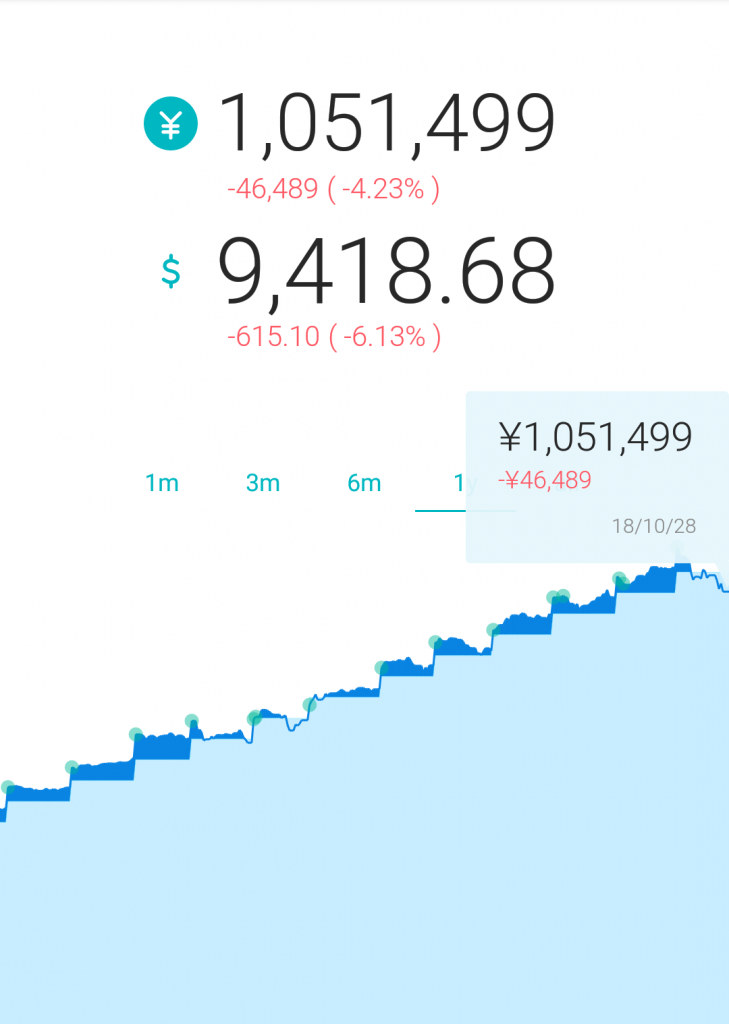 【実績公開】ウェルスナビ(自動運用サービス)編 その3:運用開始から1年後の現状