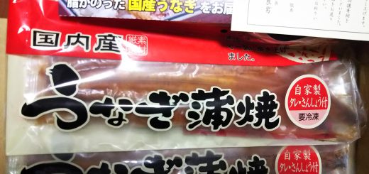 【ふるさと納税】大きなウナギは肉厚で美味（和歌山県有田市）